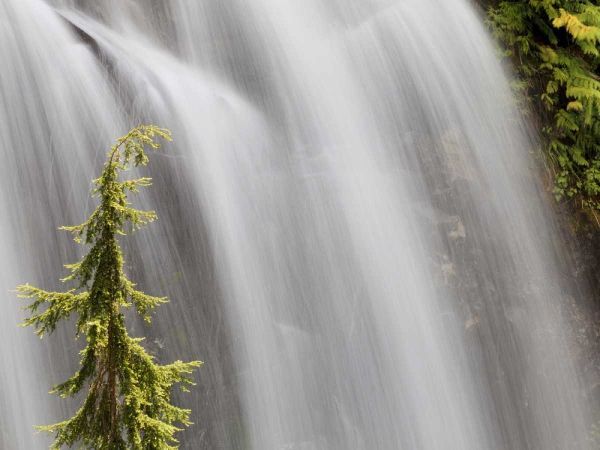 WA, Stehekin Waterfall on the Agnes Gorge Trail